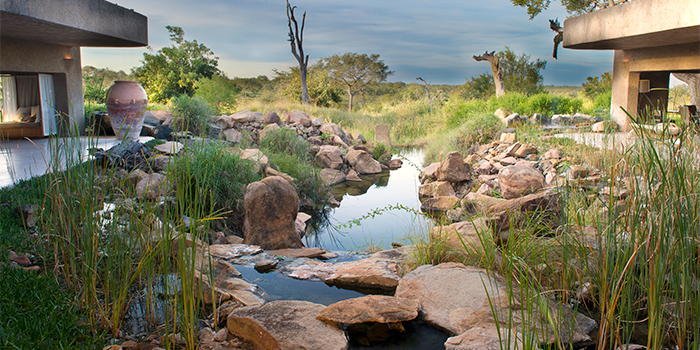 Water Feature