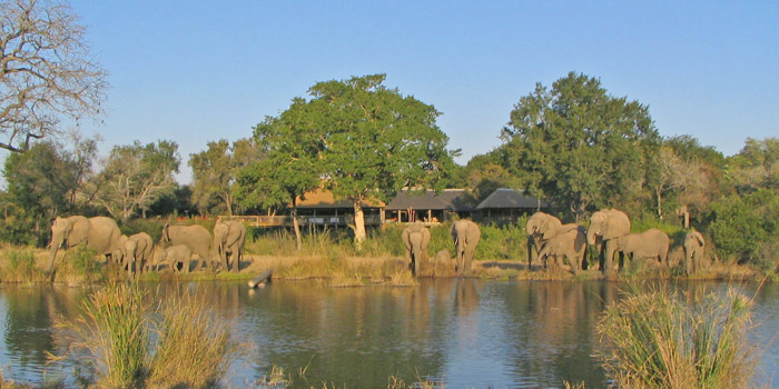 Wildlife