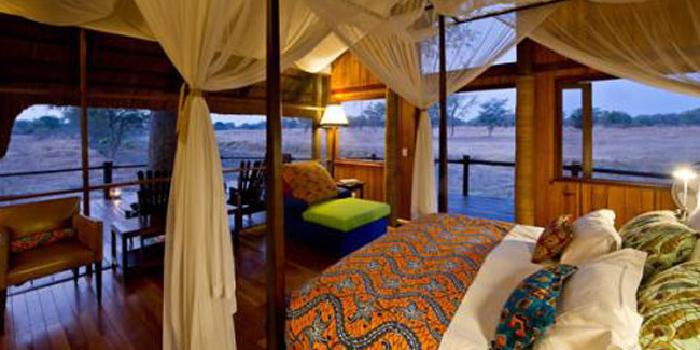 Lion Camp Lion Camp