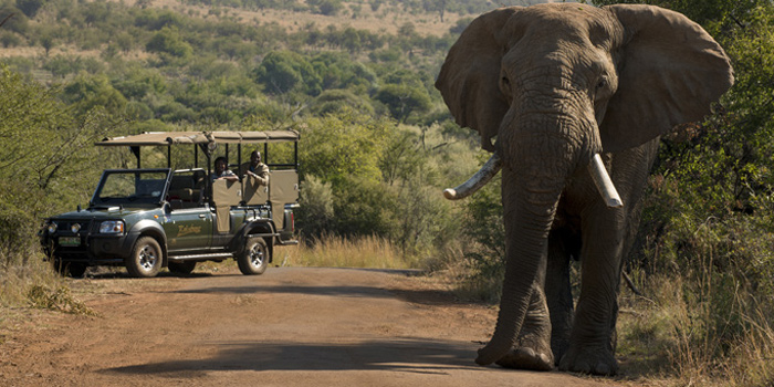 Pilanesberg Pilanesberg