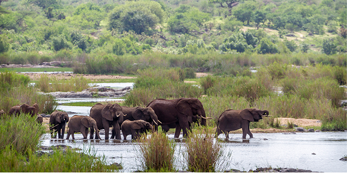 Kruger National Park Kruger National Park