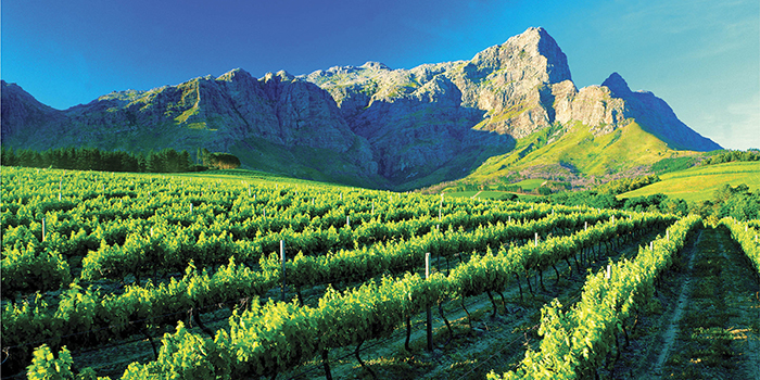 Franschhoek Franschhoek