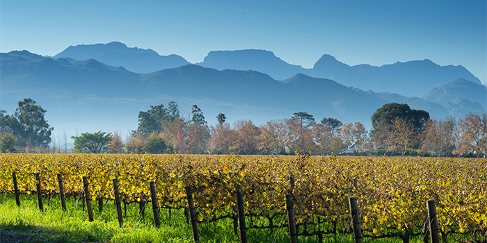 Stellenbosch Stellenbosch