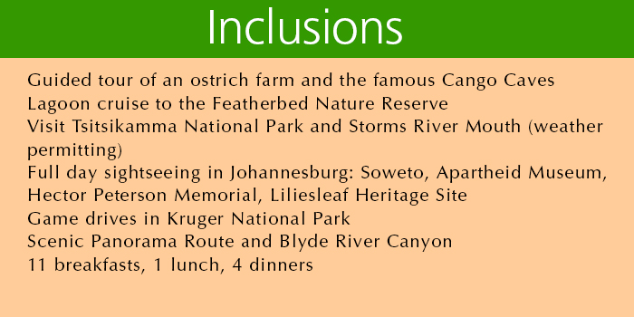 Inclusions Inclusions