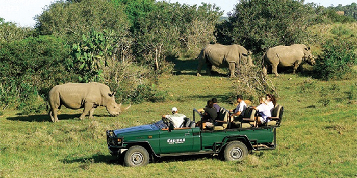 Kariega game drive Kariega game drive