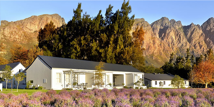 Lavender Farm Guest House Lavender Farm Guest House