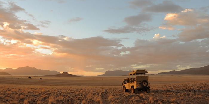 Game Drive in Namib Rand Game Drive in Namib Rand