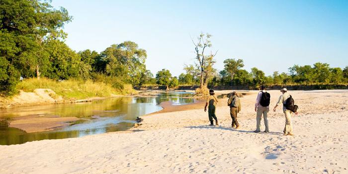 Walking safari