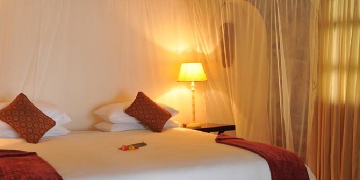Guest bedroom