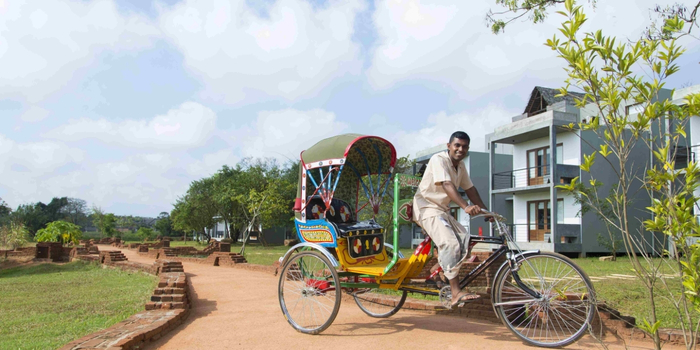 Luggage Rickshaw