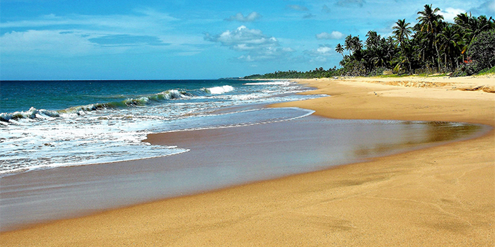Beach Beach