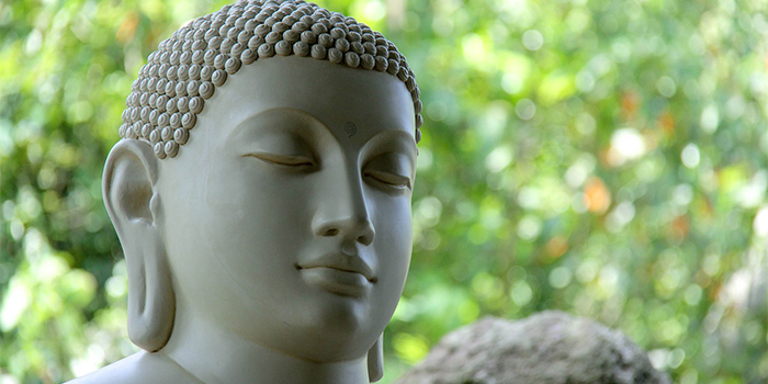Buddah Buddah