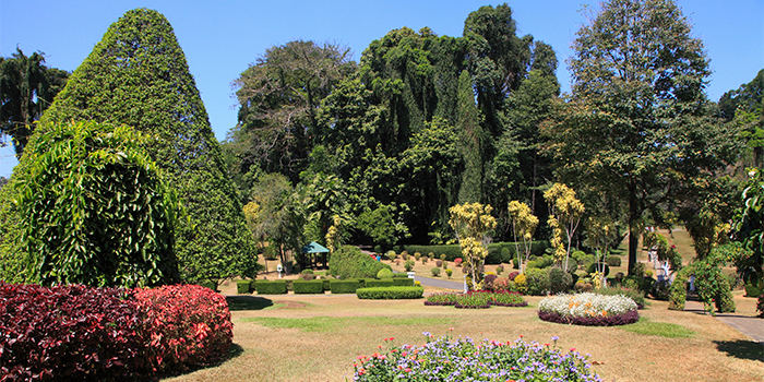 Royal Botanical Garden Royal Botanical Garden