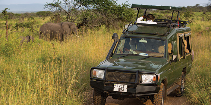 Serengeti Game Drive