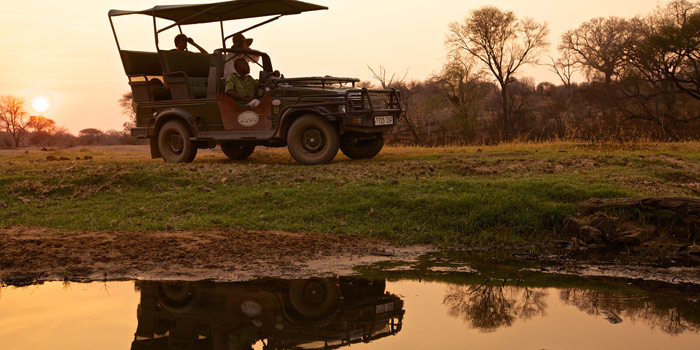 Ruaha Game Drive Ruaha Game Drive