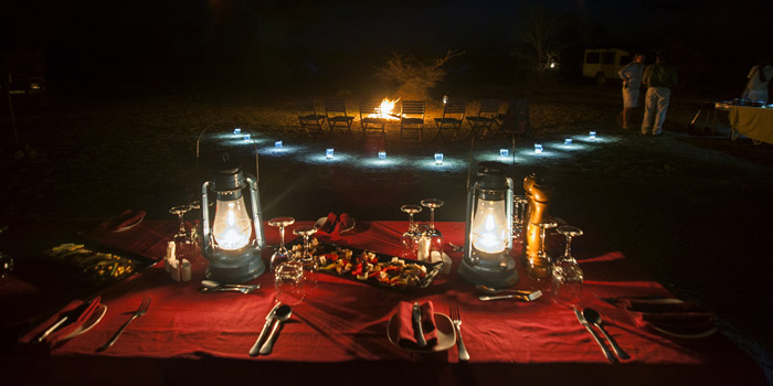 Bush dinner