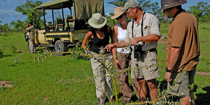 Walking with guides