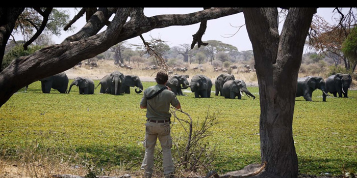 Tarangire National Park