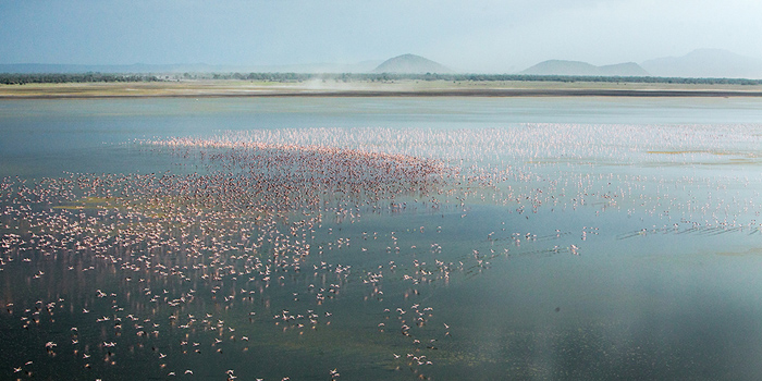 Lake Manyara