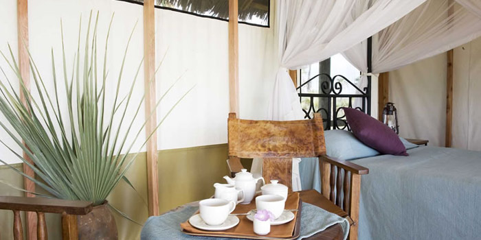 Guest tent