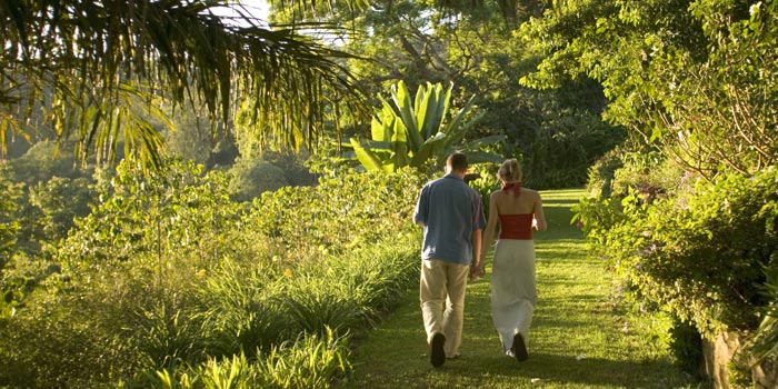 Walk in the garden