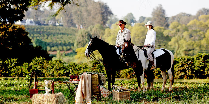 Horse riding