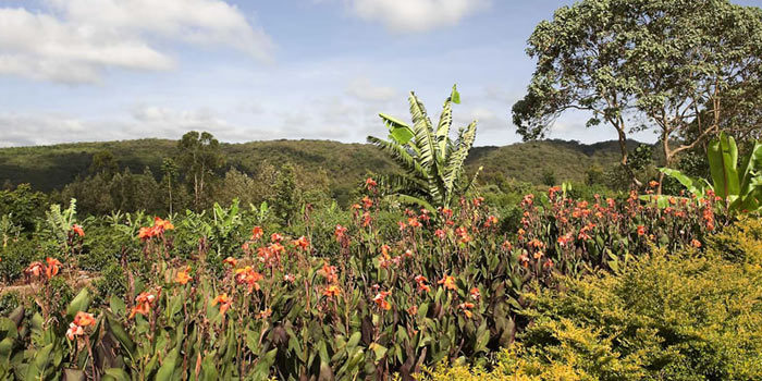 Surrounding countryside