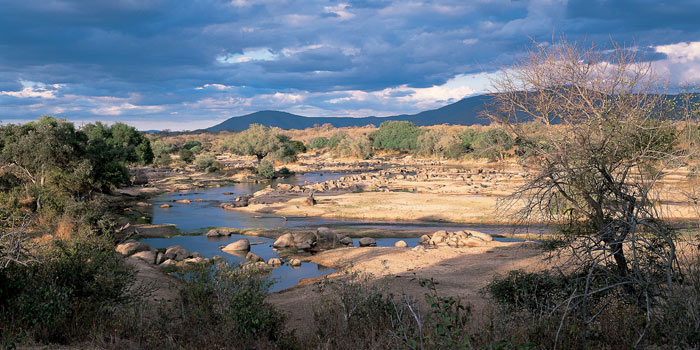 Ruaha River