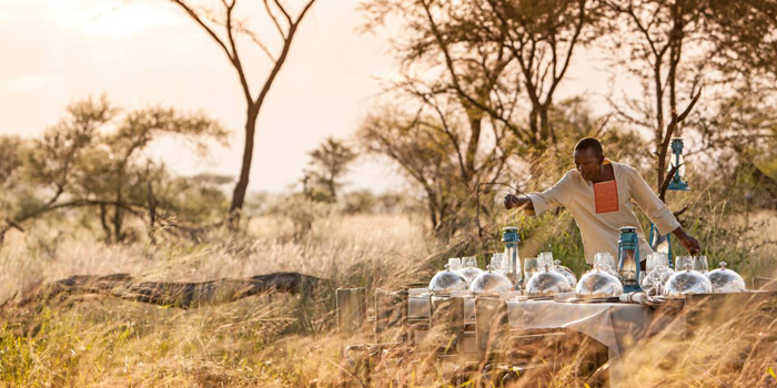 Bush Dinner