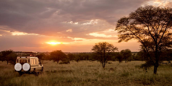 Sunset Game Drive