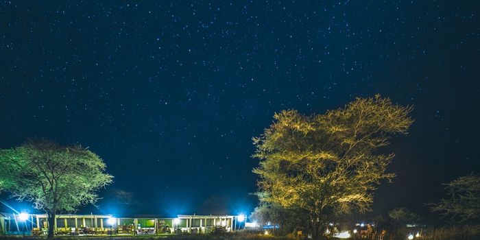  Lemala Ewanjan under the stars