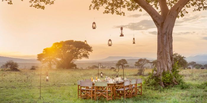 Bush Dinner