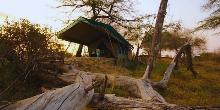 Exterior view of tent