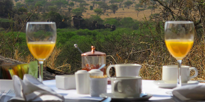 Drink with the elephants