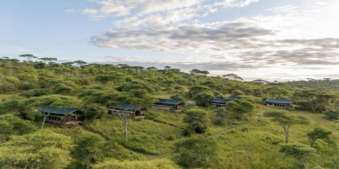 Aerial view of Woodlands and camp.