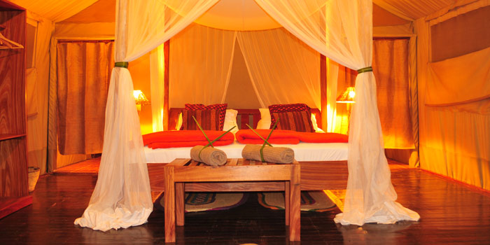 Guest tent