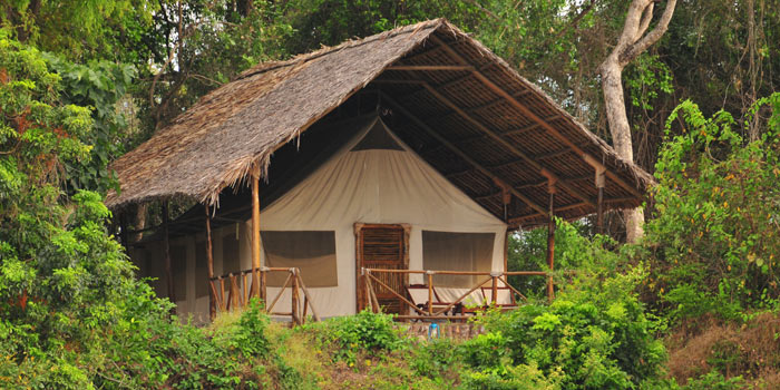 Tent exterior