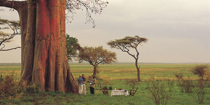 Bush breakfast