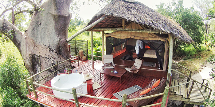 Luxury Safari Tent