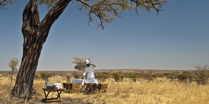 Bush lunch