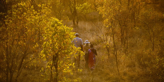 Bush walk