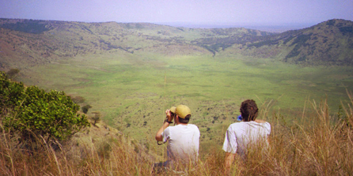 Scenery