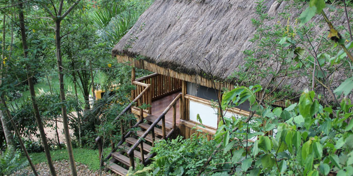 Buhoma Lodge Buhoma Lodge