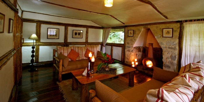 Fireside