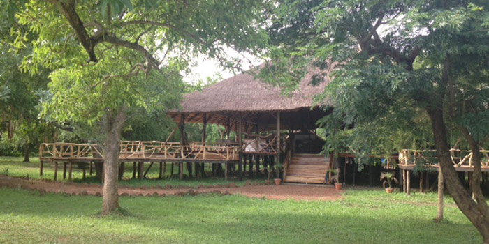 Grounds