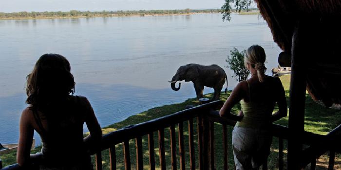 Wildlife on your doorstep