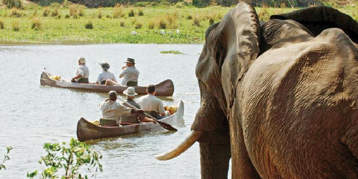 Canoing Canoing