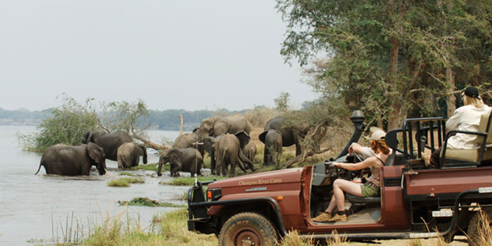 Chongwe game drive