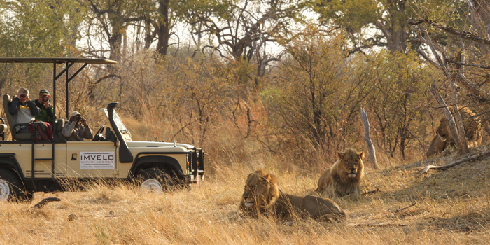 Game drive