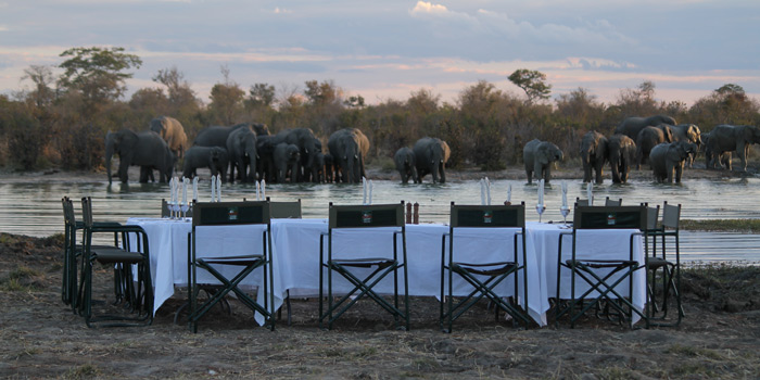 Bush dinner
